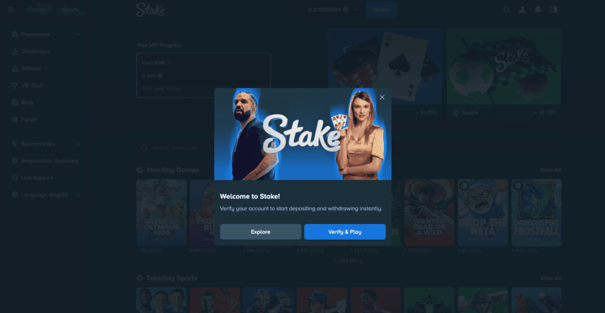 Register in Stake Casino - Step 3