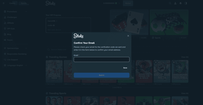 Register in Stake Casino - Step 4
